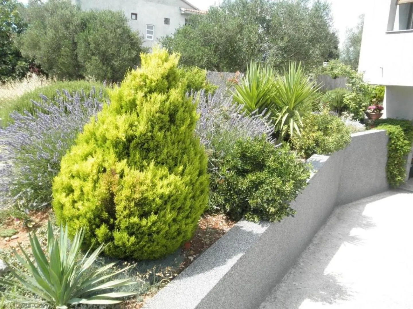 Apartments Fuzi - 50 M From Sea Bibinje